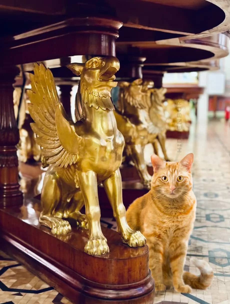 Фотография экскурсии «Эрмитажные коты» и другие секреты в детском квесте 🐈 1